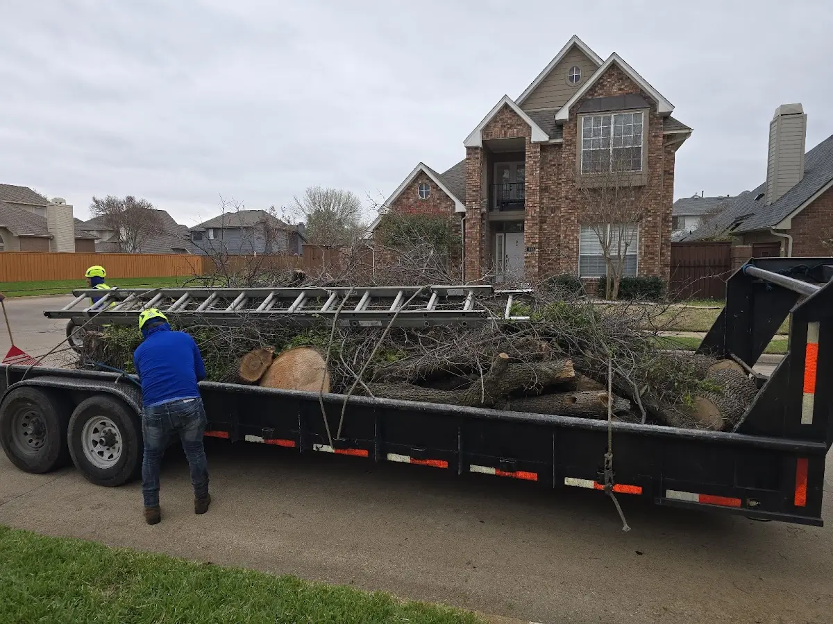 Expert Tree Removal with proper safety equipment in Battletown